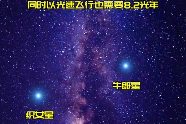 牛郎星是什么星座 牛郎星是什么星座
