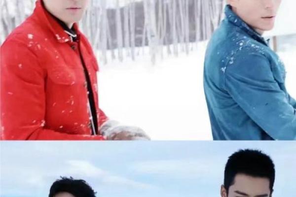 胡歌和霍建华星座分析