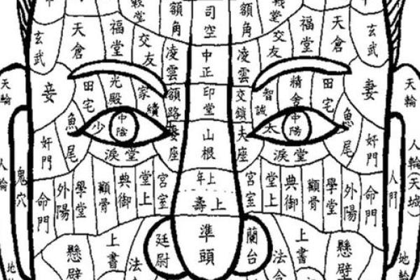 面相算命看法的特征,面相的基本看法