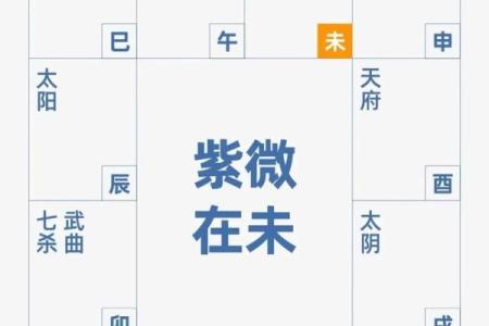 名人紫薇斗数格局