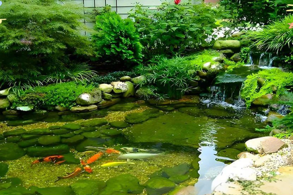 房子门口可以有鱼池吗风水