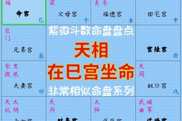 八字主星和命格的关系
