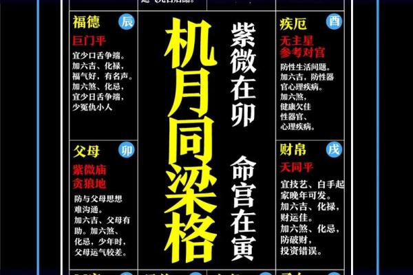 紫微斗数命盘12个宫位 紫微斗数命盘12个宫位