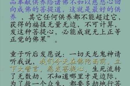 来自观音童子转世者的亲身讲述