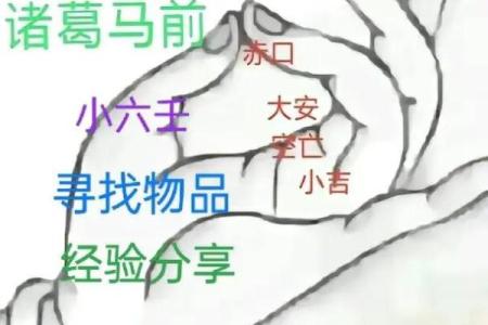 算命手掌,小六壬怎样算生辰八字