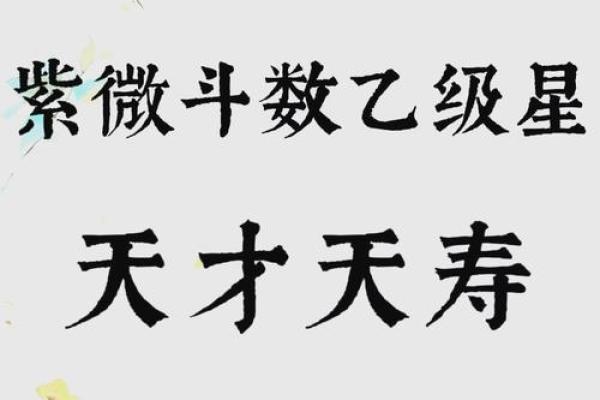 紫薇斗数不得地 紫薇斗数不得地