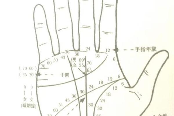 手相算命话语,手相算命说法
