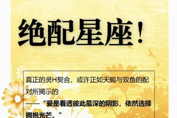 最佳星座搭配：完美的朋友组合