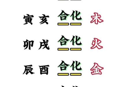 从零开始学八字（八）--十二地支（6）