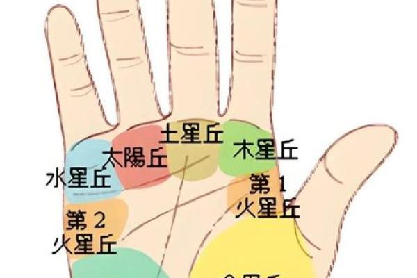 图解：手相中的事业线算命意义是