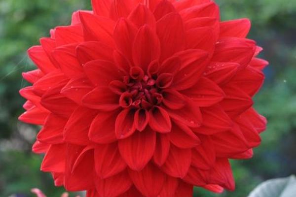 算命说我先结果后开花 算命说我先结果后开花