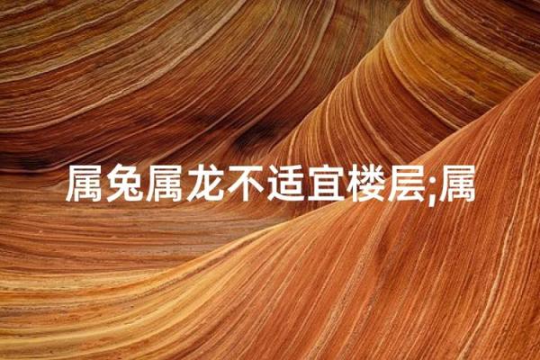 全家人都属龙,七层的楼住几层风水好？