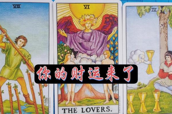 塔罗测试:你在职场最大的缺点- 塔罗测试:你在职场最大的缺点-