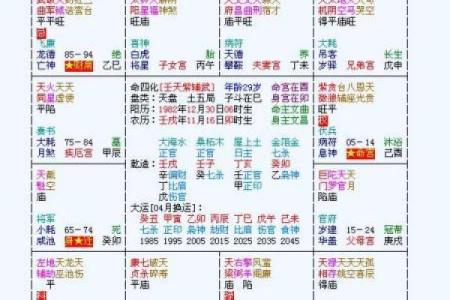 紫微斗数张国荣 张国荣星盘？