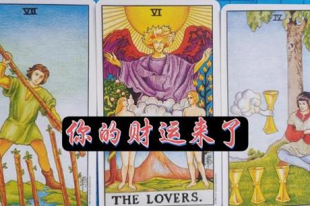 塔罗测试：你在职场最大的缺点-