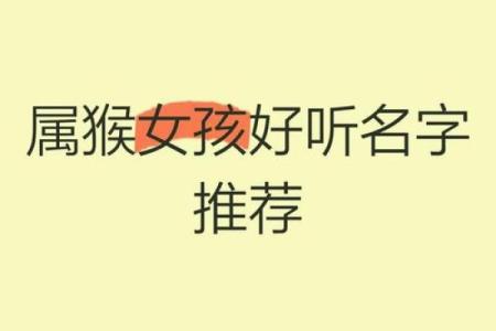 下午出生的属猴男孩起什么名，适合什么字姓名