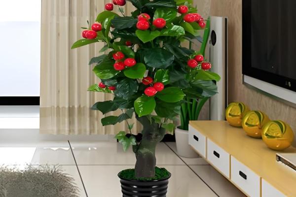 假花摆放在房屋里哪里不会影响到风水呢