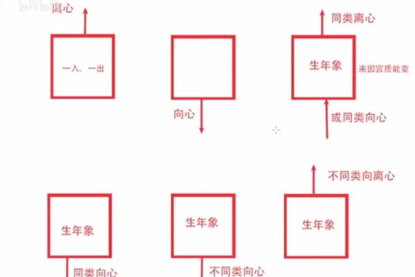 图解紫薇斗数禄忌