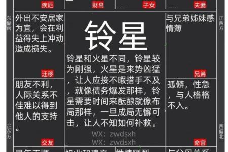 紫薇斗数星辰详解