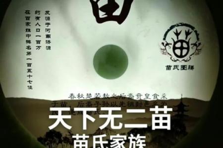 苗姓宗祠对联族谱和苗氏家族的字辈排行-姓名学-华易网姓名