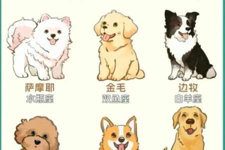 狗年运势旺到爆的星座