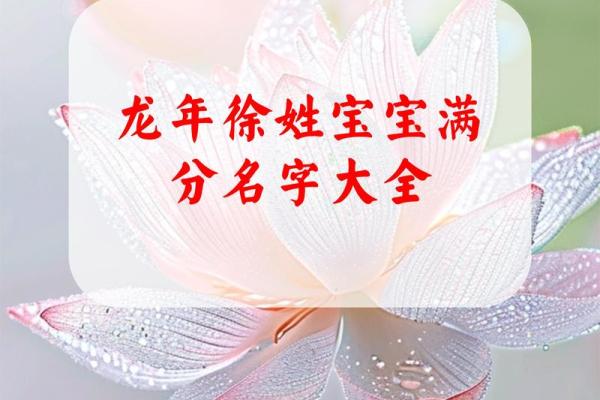 徐姓男孩名字大全-徐姓男孩起名字大全-徐姓名字大全姓名