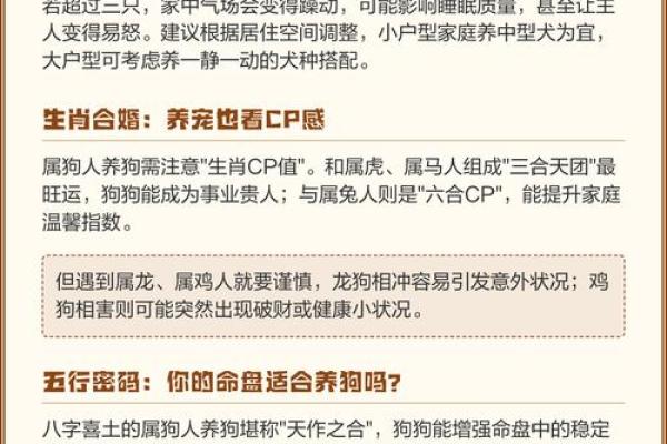 属狗农历三月十一算命