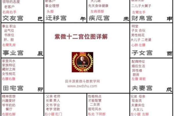 紫薇斗数先天盘