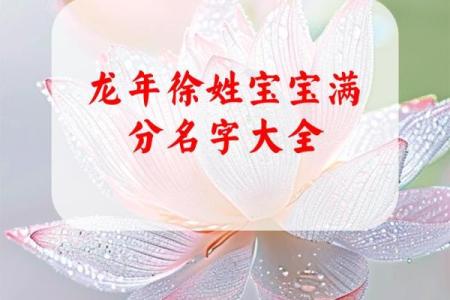 徐姓男孩名字大全-徐姓男孩起名字大全-徐姓名字大全姓名