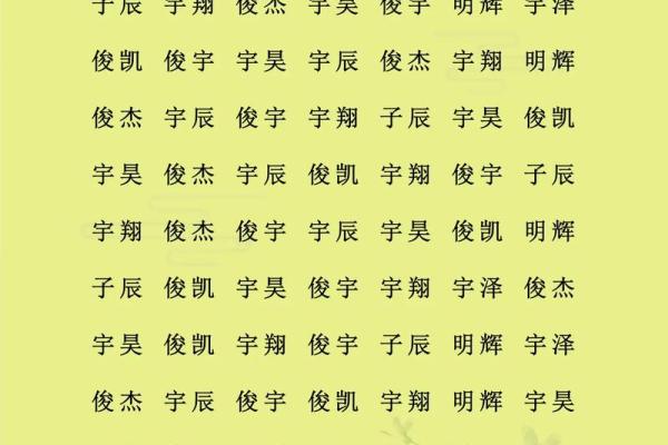 2019年3月17号午时出生的男孩应该起什么样的名字姓名