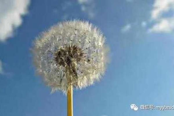 八字看婴儿伤病灾发生的判断