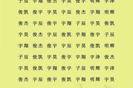 2019年3月17号午时出生的男孩应该起什么样的名字姓名
