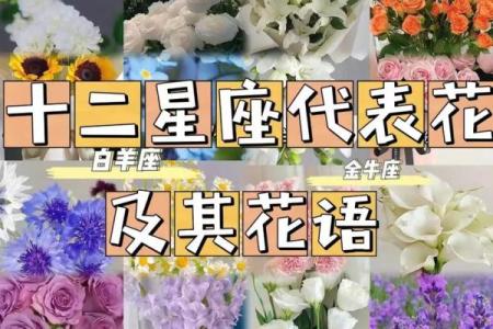 十二星座里哪些星座人见人爱花见花开