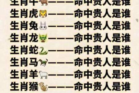 93鸡95猪八字合不合 比较相合的一对