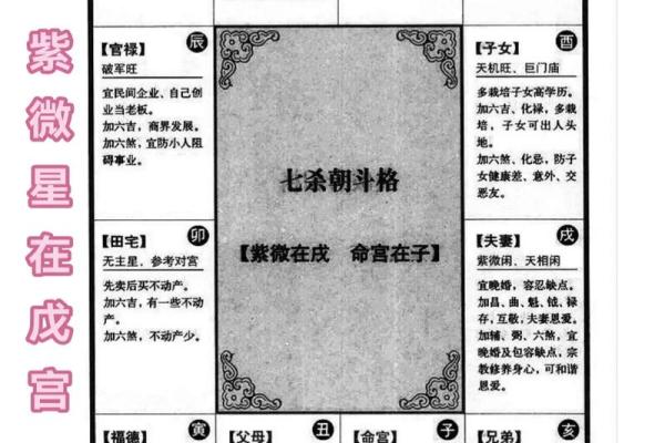 曹德旺紫薇斗数