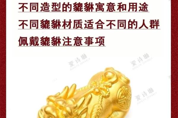 女生佩戴貔貅都有哪些风水禁忌了