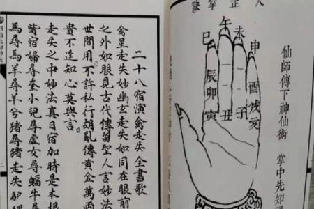 六壬金口诀与八字哪个准