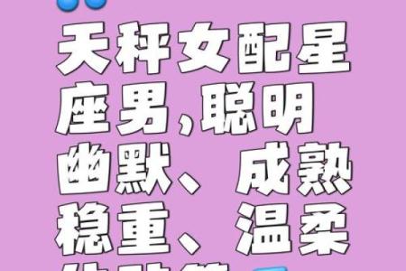 天秤座和哪个星座也是很默契的