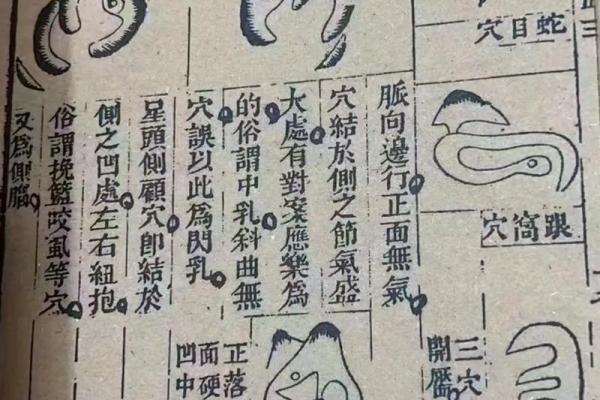 教你关于看阴宅风水秘术与知识