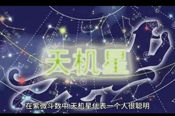 紫微斗数之事业宫与诸星，天机星在事业宫是什么意思？