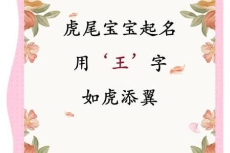 早上出生的属虎男孩如何起名，宜用什么字姓名