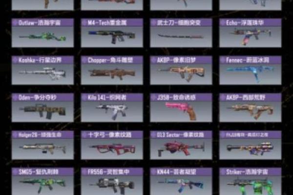 使命召唤12星座最适合用什么枪