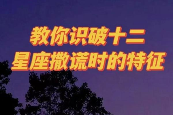 12星座最爱说的谎言是什么