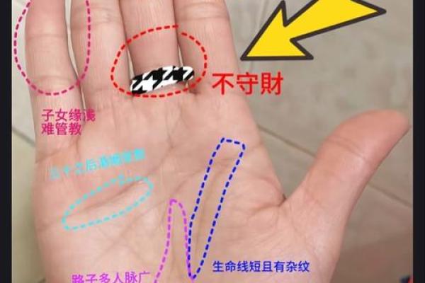 看相算命有哪些视频