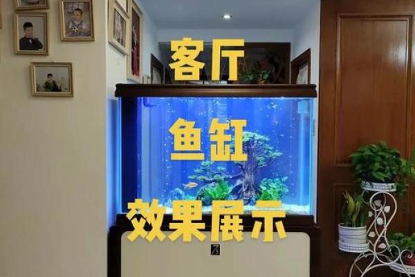 在鱼缸里盖房子好不好风水 在鱼缸里盖房子好不好风水