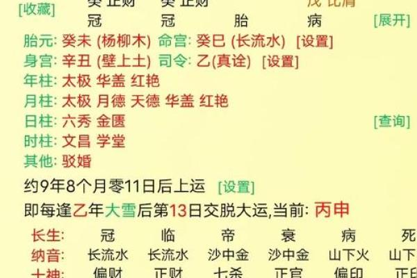 自带贵气的八字-日元身旺以财官为用神 自带贵气的八字-日元身旺以财官为用神