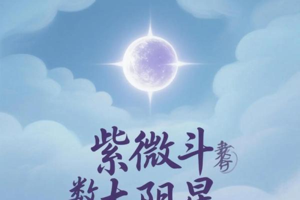 紫微命盘太阴在亥宫,太阴星在亥宫守命宫 紫微命盘太阴在亥宫,太阴星在亥宫守命宫