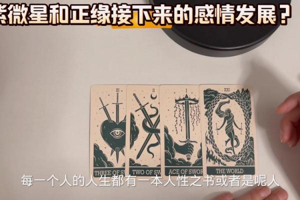 塔罗测试我的宿命正缘