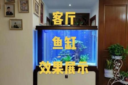 在鱼缸里盖房子好不好风水