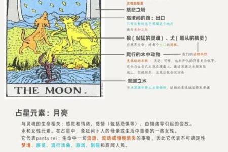 剖析塔罗测试的起源